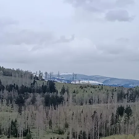 Waldperle Brockenblick Im Panoramic Oberharz * Braunlage