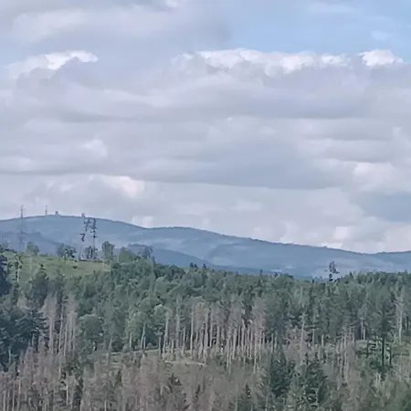 Waldperle Brockenblick Im Panoramic Oberharz *
