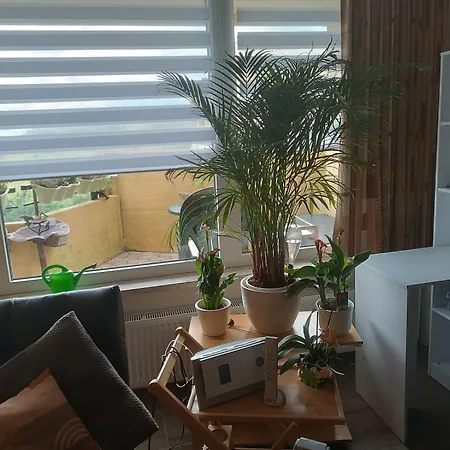Apartment Waldperle Brockenblick Im Panoramic Oberharz