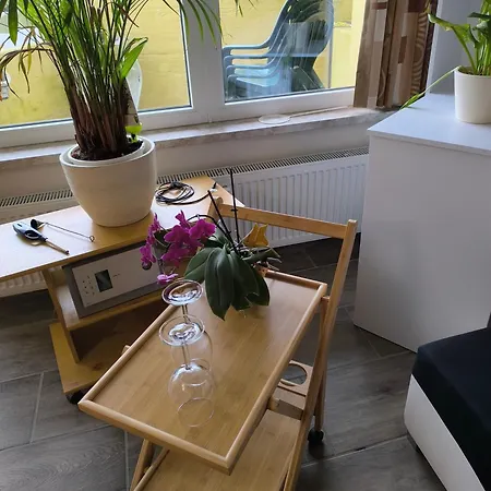 Apartmán Waldperle Brockenblick Im Panoramic Oberharz *