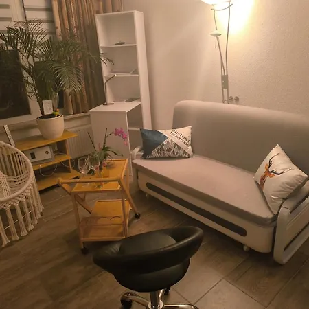 Apartment Waldperle Brockenblick Im Panoramic Oberharz