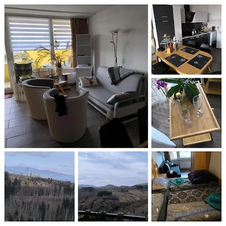 Apartmán Waldperle Brockenblick Im Panoramic Oberharz *
