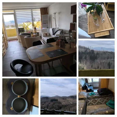 Waldperle Brockenblick Im Panoramic Oberharz *