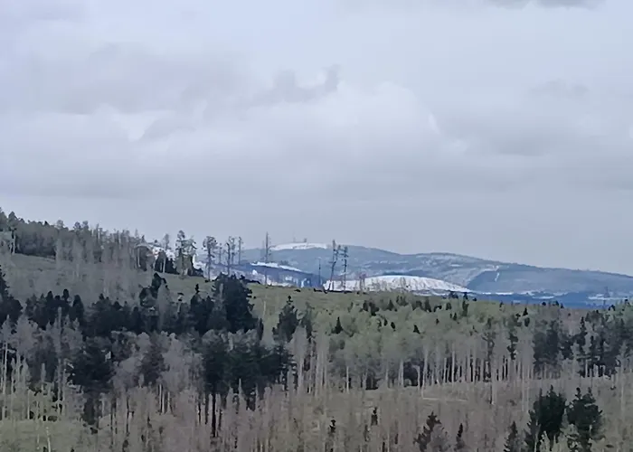 Waldperle Brockenblick Im Panoramic Oberharz * Braunlage