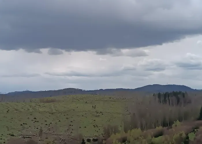 Waldperle Brockenblick Im Panoramic Oberharz *