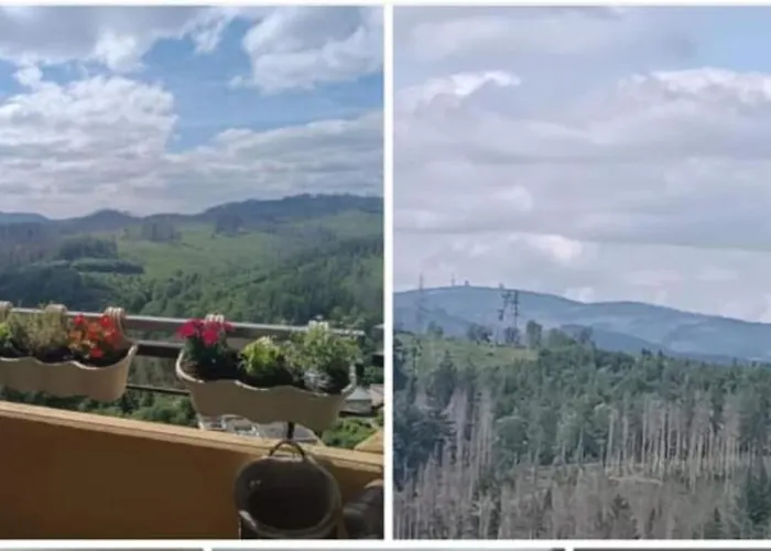 Waldperle Brockenblick Im Panoramic Oberharz * Braunlage