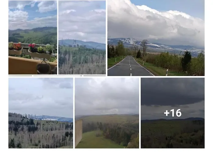 Waldperle Brockenblick Im Panoramic Oberharz Apartment *