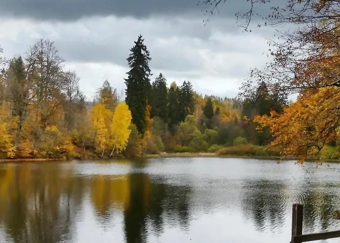 Waldperle Brockenblick Im Panoramic Oberharz